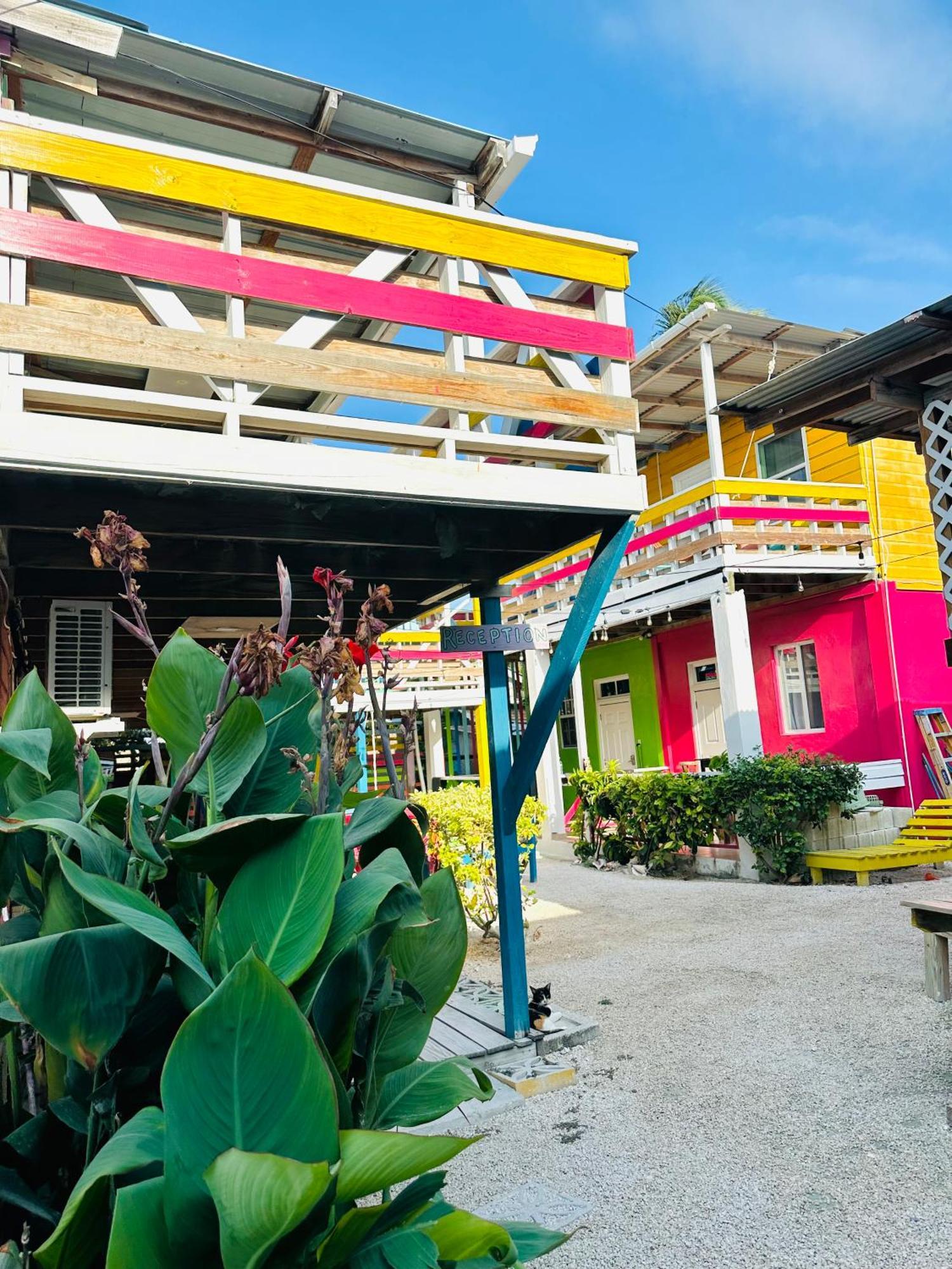 Go Slow Guesthouse Caye Caulker Exterior photo